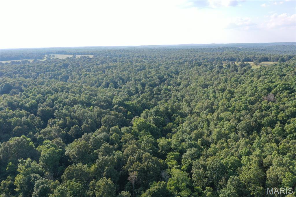 Tbd East Wirth Road Ravenden, AR 72459 - Photo 19 of 70