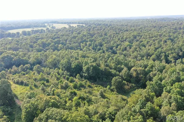 $218,519 | Tbd East Wirth Road, Ravenden, AR 72459