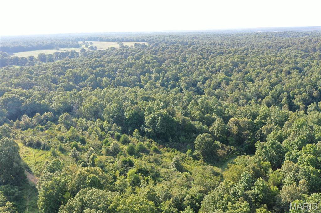 Tbd East Wirth Road Ravenden, AR 72459 - Photo 21 of 70