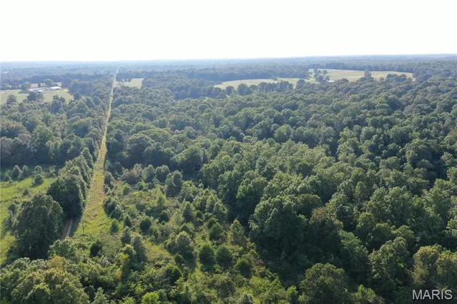 $218,519 | Tbd East Wirth Road, Ravenden, AR 72459