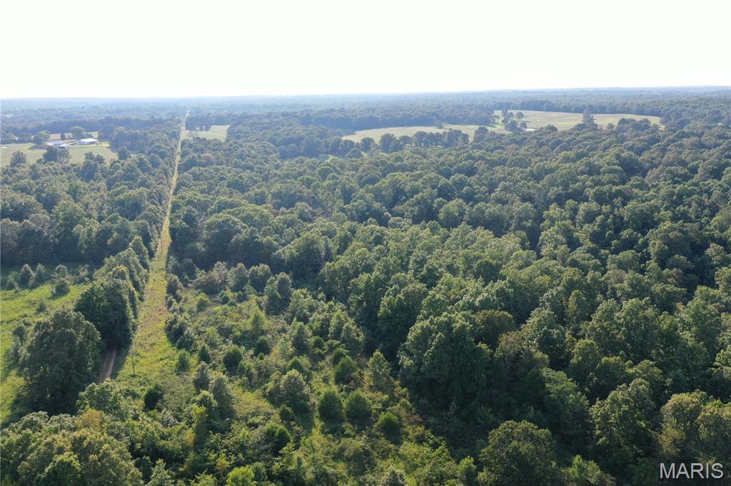 Tbd East Wirth Road Ravenden, AR 72459 - Photo 22 of 70