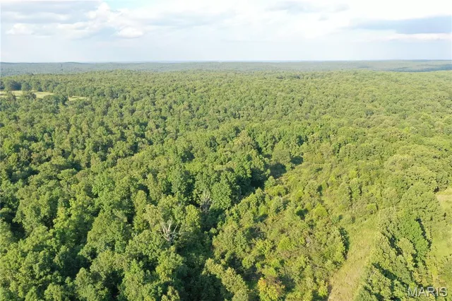 $218,519 | Tbd East Wirth Road, Ravenden, AR 72459