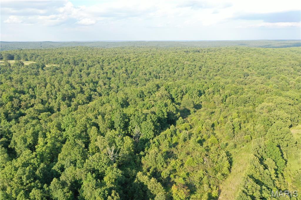 Tbd East Wirth Road Ravenden, AR 72459 - Photo 23 of 70