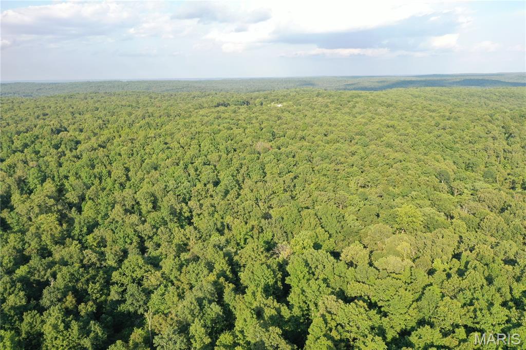 Tbd East Wirth Road Ravenden, AR 72459 - Photo 24 of 70