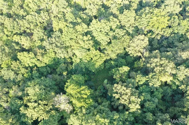 $218,519 | Tbd East Wirth Road, Ravenden, AR 72459