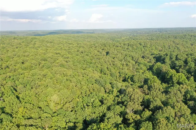 $218,519 | Tbd East Wirth Road, Ravenden, AR 72459