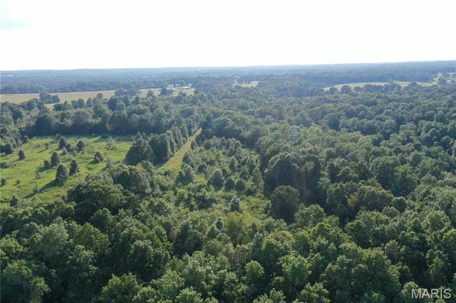 $218,519 | Tbd East Wirth Road, Ravenden, AR 72459