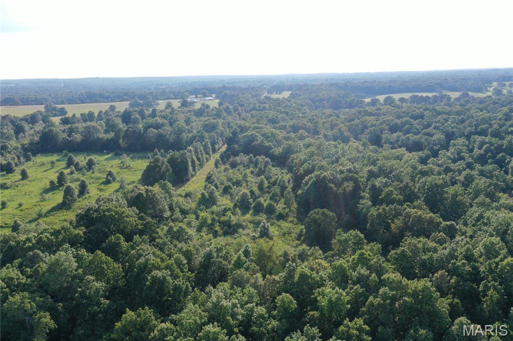 Tbd East Wirth Road Ravenden, AR 72459 - Photo 27 of 70