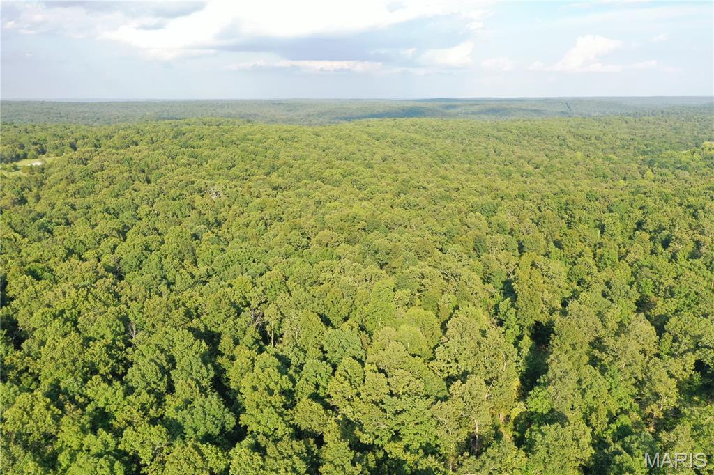 Tbd East Wirth Road Ravenden, AR 72459 - Photo 28 of 70