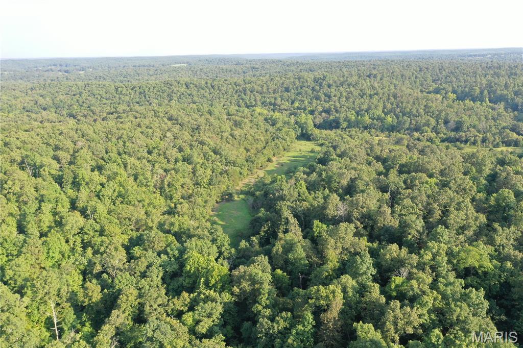 Tbd East Wirth Road Ravenden, AR 72459 - Photo 29 of 70