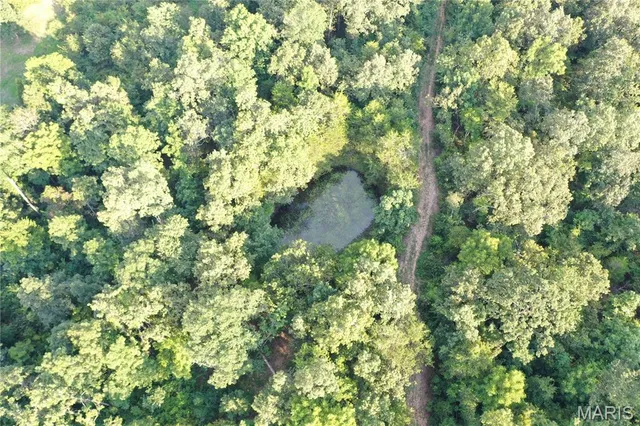 $218,519 | Tbd East Wirth Road, Ravenden, AR 72459