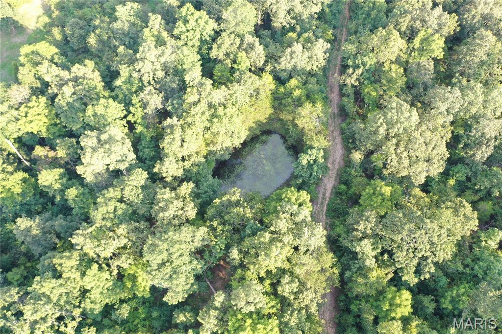 Tbd East Wirth Road Ravenden, AR 72459 - Photo 30 of 70