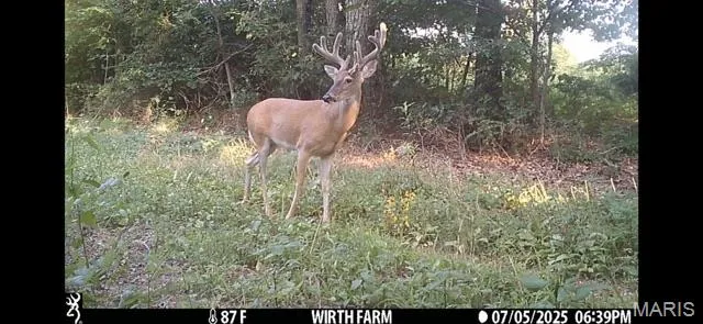 $218,519 | Tbd East Wirth Road, Ravenden, AR 72459