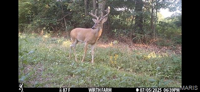 Tbd East Wirth Road Ravenden, AR 72459 - Photo 3 of 70