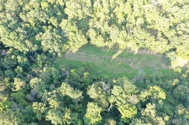 $218,519 | Tbd East Wirth Road, Ravenden, AR 72459