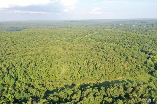 $218,519 | Tbd East Wirth Road, Ravenden, AR 72459