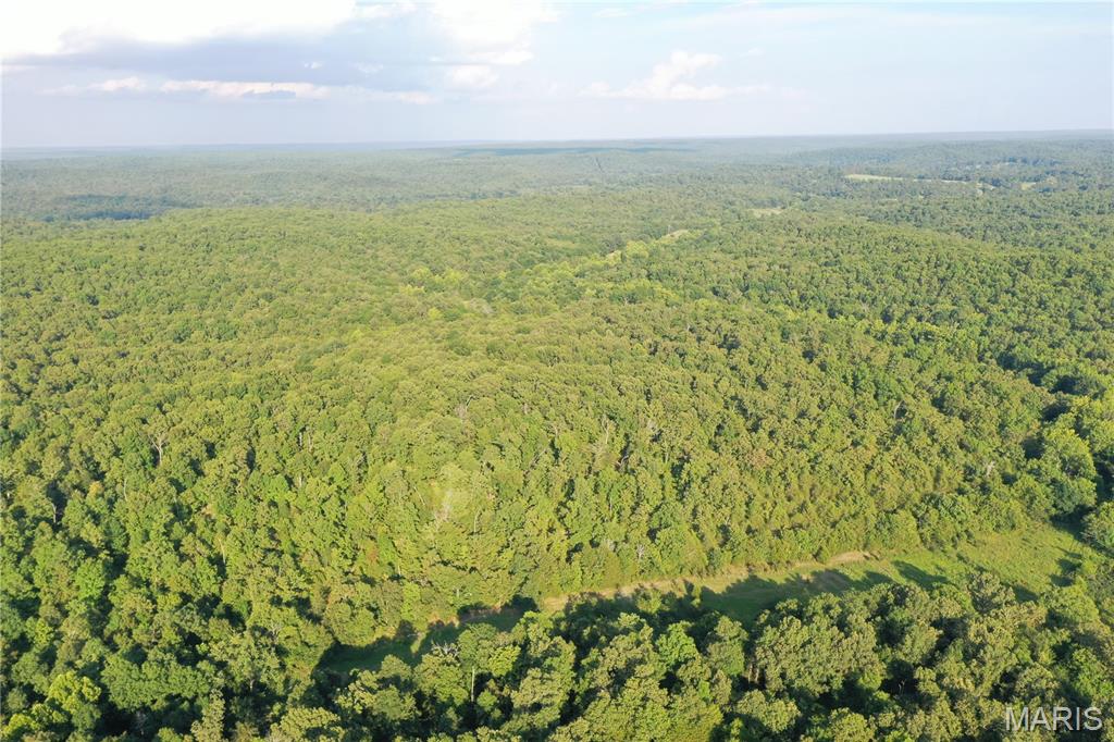 Tbd East Wirth Road Ravenden, AR 72459 - Photo 32 of 70