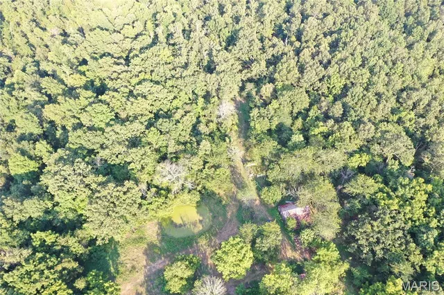 $218,519 | Tbd East Wirth Road, Ravenden, AR 72459