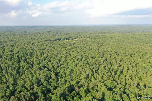 $218,519 | Tbd East Wirth Road, Ravenden, AR 72459