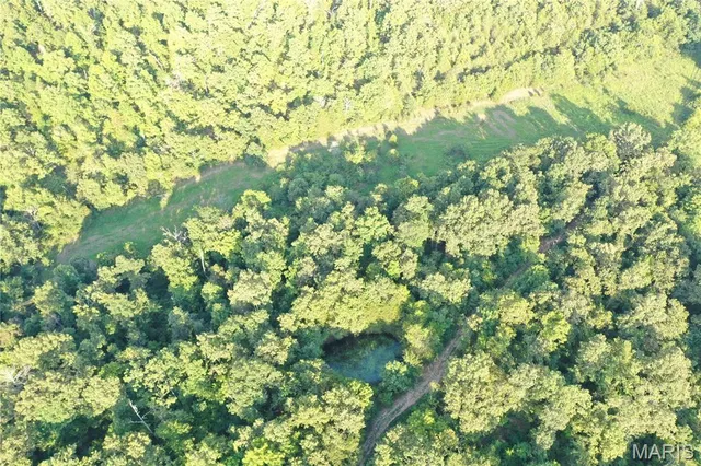 $218,519 | Tbd East Wirth Road, Ravenden, AR 72459