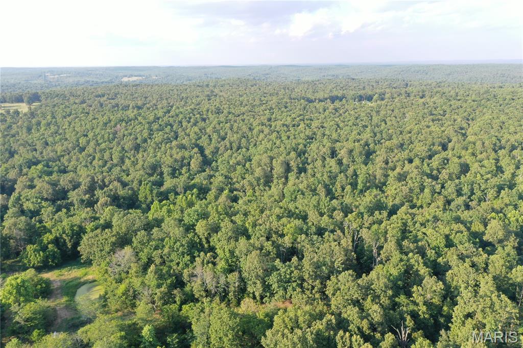 Tbd East Wirth Road Ravenden, AR 72459 - Photo 39 of 70