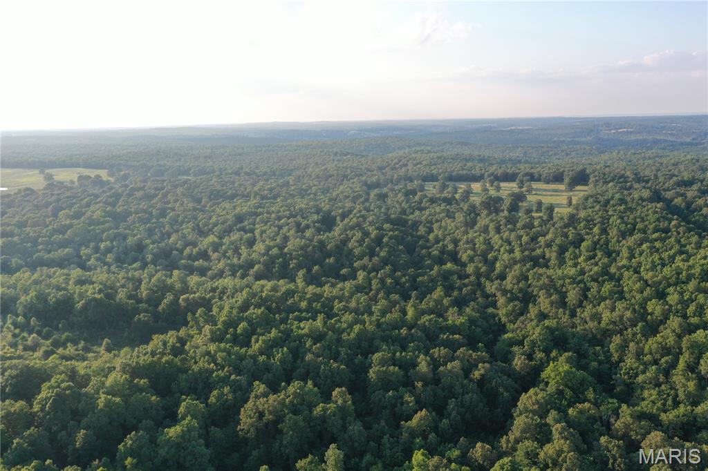 Tbd East Wirth Road Ravenden, AR 72459 - Photo 40 of 70