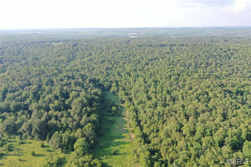 Tbd East Wirth Road Ravenden, AR 72459 - Photo 4 of 70