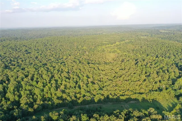 $218,519 | Tbd East Wirth Road, Ravenden, AR 72459