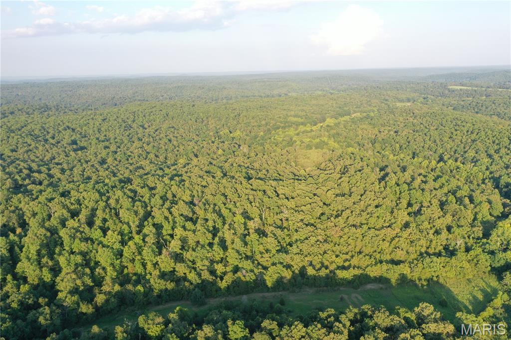 Tbd East Wirth Road Ravenden, AR 72459 - Photo 41 of 70