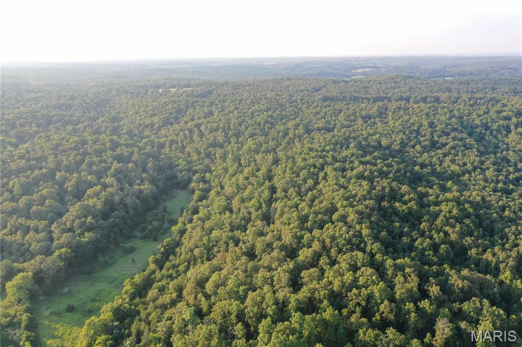 Tbd East Wirth Road Ravenden, AR 72459 - Photo 43 of 70