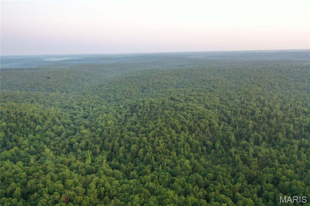 Tbd East Wirth Road Ravenden, AR 72459 - Photo 45 of 70