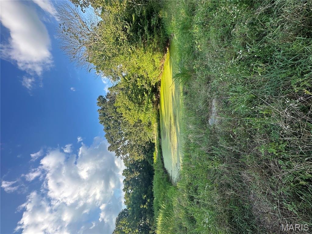 Tbd East Wirth Road Ravenden, AR 72459 - Photo 47 of 70