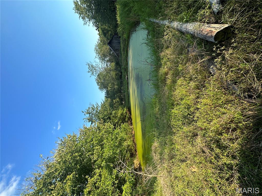 Tbd East Wirth Road Ravenden, AR 72459 - Photo 48 of 70