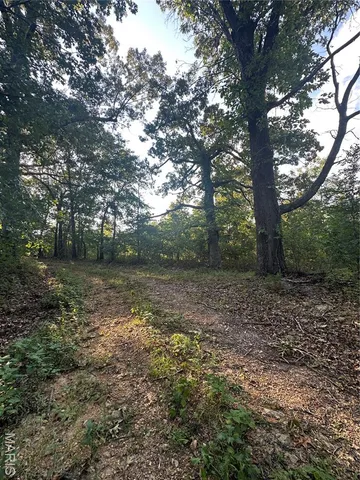 $218,519 | Tbd East Wirth Road, Ravenden, AR 72459
