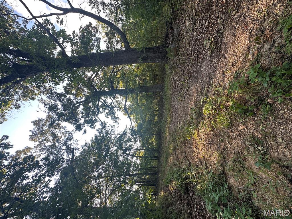 Tbd East Wirth Road Ravenden, AR 72459 - Photo 49 of 70