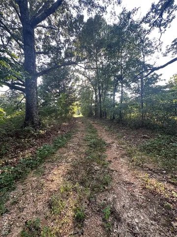 $218,519 | Tbd East Wirth Road, Ravenden, AR 72459