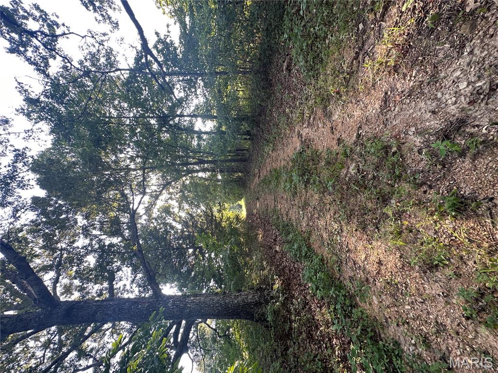 Tbd East Wirth Road Ravenden, AR 72459 - Photo 50 of 70