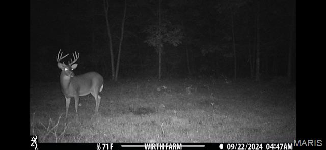 Tbd East Wirth Road Ravenden, AR 72459 - Photo 5 of 70