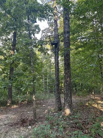 $218,519 | Tbd East Wirth Road, Ravenden, AR 72459