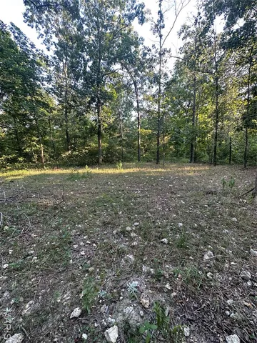 $218,519 | Tbd East Wirth Road, Ravenden, AR 72459