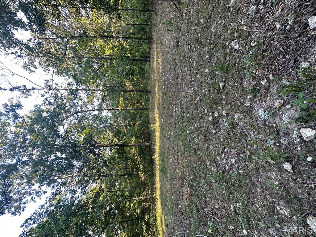 Tbd East Wirth Road Ravenden, AR 72459 - Photo 52 of 70