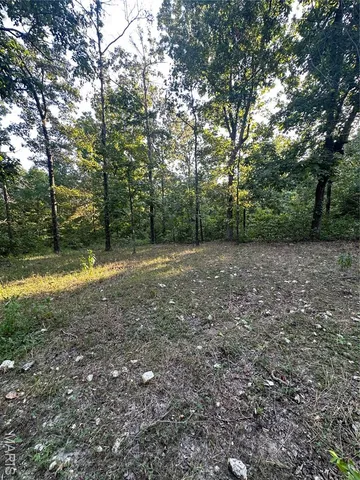 $218,519 | Tbd East Wirth Road, Ravenden, AR 72459