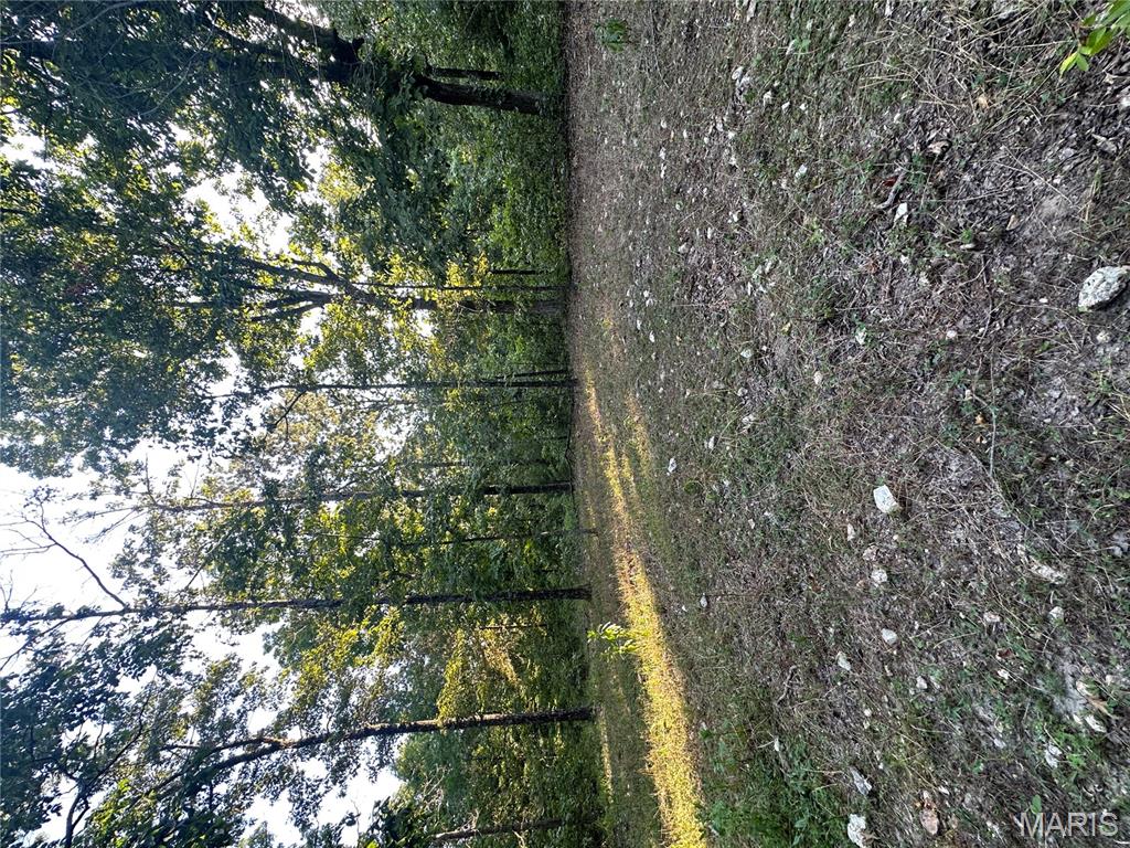 Tbd East Wirth Road Ravenden, AR 72459 - Photo 53 of 70