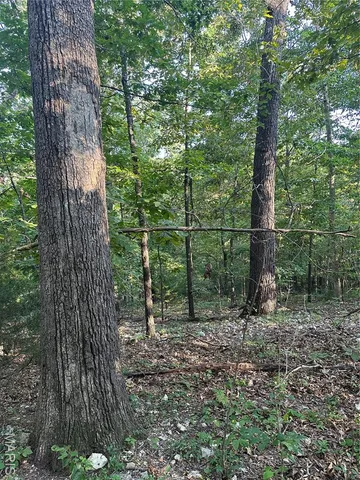 $218,519 | Tbd East Wirth Road, Ravenden, AR 72459