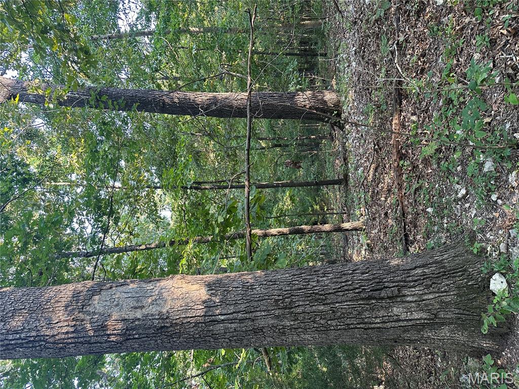 Tbd East Wirth Road Ravenden, AR 72459 - Photo 54 of 70