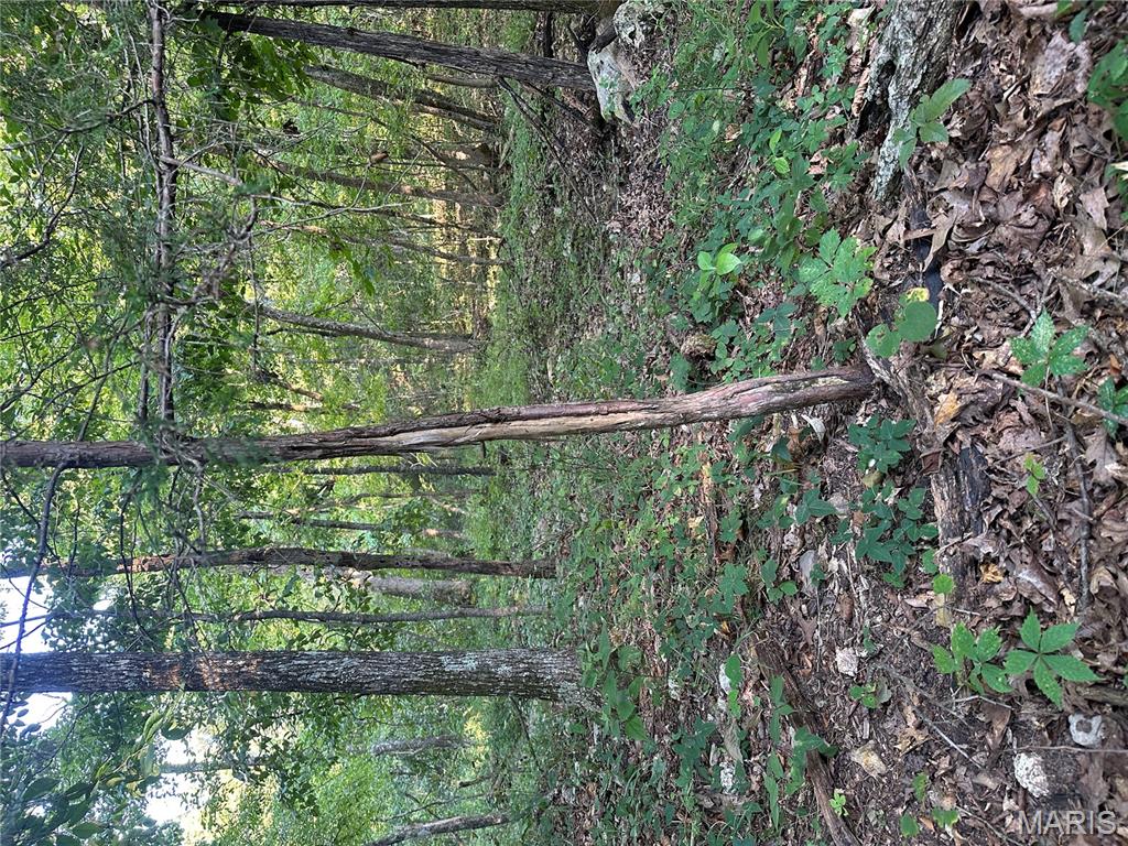 Tbd East Wirth Road Ravenden, AR 72459 - Photo 55 of 70