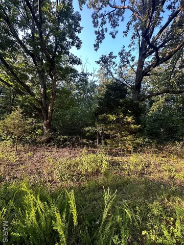 $218,519 | Tbd East Wirth Road, Ravenden, AR 72459