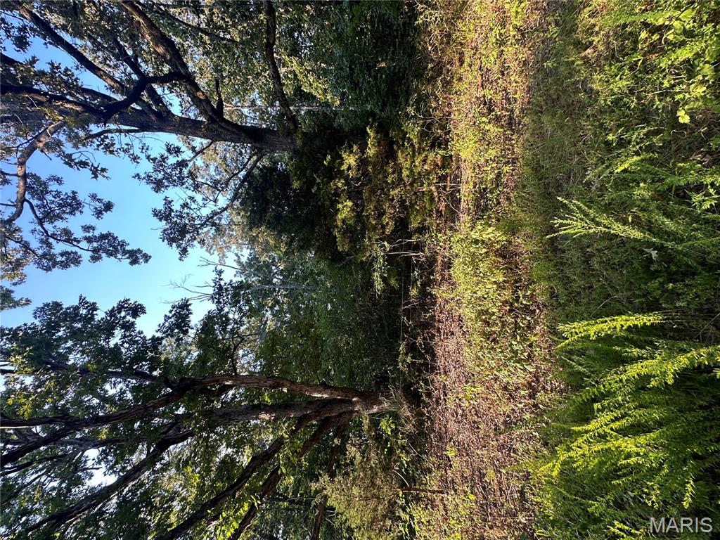 Tbd East Wirth Road Ravenden, AR 72459 - Photo 56 of 70