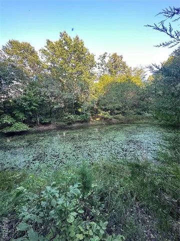 $218,519 | Tbd East Wirth Road, Ravenden, AR 72459