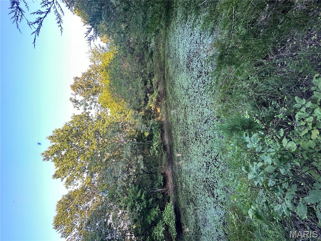 Tbd East Wirth Road Ravenden, AR 72459 - Photo 57 of 70